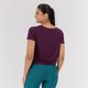 Cta cropped 500 az pv24, xl Roxo G