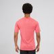 codigo-modelo-8950665