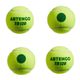 Bola de Tênis TB120 Ponto Stage 1 (60 Unidades) Artengo, verde, UNICO