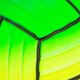 wp-ball-grip-85-rain-green-4