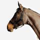 Licol schooling ss25 black, xfs Preto CS