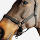 Licol schooling ss25 black, xfs Preto CS