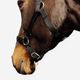 Licol schooling ss25 black, xfs Preto CS