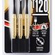 codigo-modelo-8402849