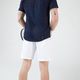 codigo-modelo-8759892