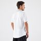 codigo-modelo-8841678