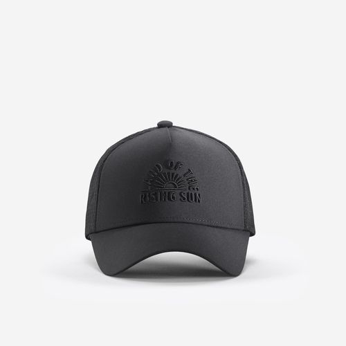 codigo-modelo-8788361