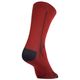 codigo-modelo-8979717