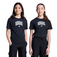 codigo-modelo-8683524