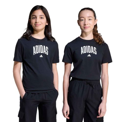 codigo-modelo-8683524