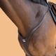 Brs-pl-jumping-h-horse-breastplate-b-fs-CS