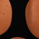 bra-high-impact-fbra900-zip-blk-purpl-l11
