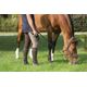 socks-equarea-dark-brow-uk25-5-us3-5510