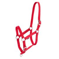 HALTER-SCHOOLING-RED-3