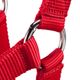 HALTER-SCHOOLING-RED-3