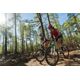 mtb-short-st-500-blue-xs8