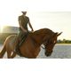 sad-pd-540-h-saddle-pad-dig-no-size11