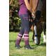 socks-basic-ad-purple-pink-orange-8
