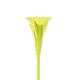 flecha-discosoft---27----2-flechas-5