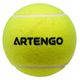 artengo-tb-jumbo-ball-1