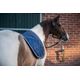 sad-pd-540-h-saddle-pad-dig-no-size-azul3