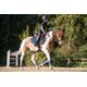sad-pd-540-h-saddle-pad-dig-no-size-azul11