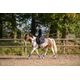 sad-pd-540-h-saddle-pad-dig-no-size-azul12