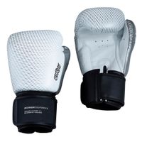 muay-thai-gloves-leather-10oz1