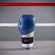 boxing-gloves-120-colo-blue-10oz10