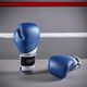 boxing-gloves-120-colo-blue-12oz9