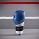 boxing-gloves-120-colo-blue-12oz10