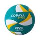 bola-volei-de-praia-oficial-bv900--fivb--verde1