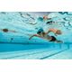 Boxer-100-plus-preta--161-172cmentre-14-15-anos-ENTRE-10-11-ANOS