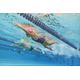 1pg-500-kamyleon-all-ge-160-166cm14-15y-Cinza-10-11-ANOS