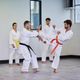 Karate-100-adult-190cm-170CM