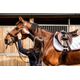 SHK-AB-500-H-SADDLE-PAD-EBO-NO-SIZE