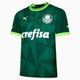 -csa-vd-puma-palmeiras-masc-home-jsy-2xl-3G