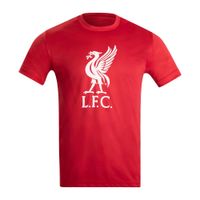 -cta-masc-verm-liverpool-liver-bird-2-xl-GG