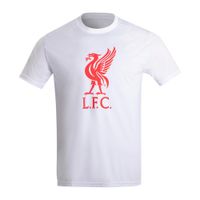 -cta-masc-bco-liverpool-liver-bird-21-xl-GG