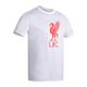 -cta-masc-bco-liverpool-liver-bird-21-xl-GG