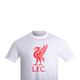 -cta-masc-bco-liverpool-liver-bird-21-xl-GG