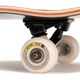 -skateboard-cp-500-8--scream--.