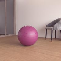 Swiss-ball-basic-small-bleu-vert-s-Bordo