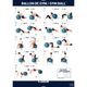 Swiss-ball-basic-small-bleu-vert-s-Bordo