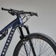 Mtb-xc-100-s-rr-nx-eagle-l---175-184cm-GG