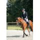 br-560-grip-m-breeches-wh-uk-32---eu-4220