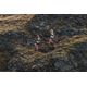 Mt-cushion-2-trail-w-borde-uk-6.5--eu40-36-BR