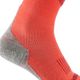 Ski-socks-100-light-gree-8.5-11---43-46-Coral-37-40