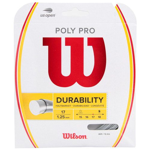 Corda Wilson Poly Pro 17 1.25mm Prata - Set Individual