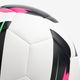 TRAINING-BALL-TAILLE-5---8789910---006-----Expires-on-01-09-2032